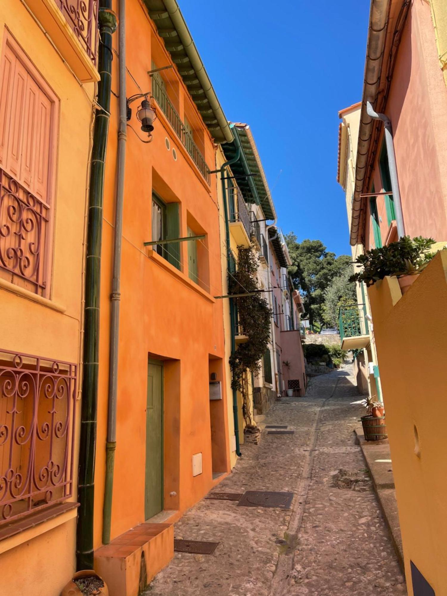 Appartement Dans Le Quartier Recherche Du Moure Collioure Exterior photo